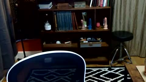 Snapshot of bentmountain chatting on 03.22.26 DeniseDavid online show from 03.22.26