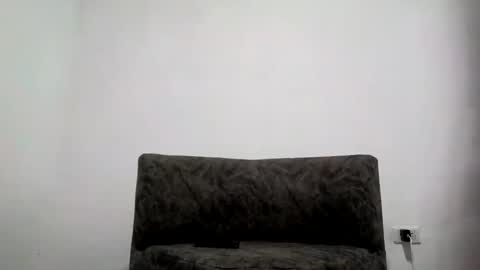 Snapshot of bestia_salvaje chatting on 03.04.25 Andres online show from 03.04.25