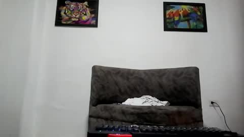 Snapshot of bestia_salvaje chatting on 03.07.25 Andres online show from 03.07.25