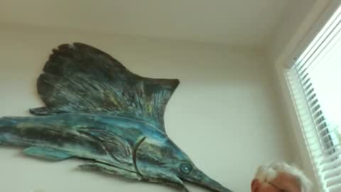 bestshot1951 online show from 03.20.26