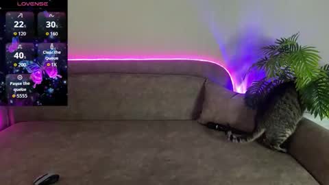 Teya online show from 04.12.26