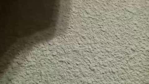 Snapshot of bgf32054 chatting on 10.10.25 Bigfish123 online show from 10.10.25