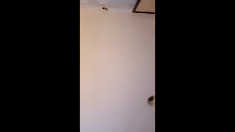 bgiamba21 online show from 04.04.26