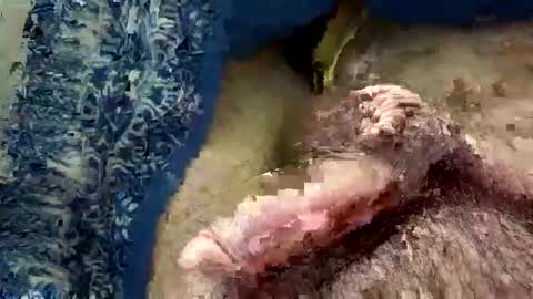 big88385909 online show from 11.20.25