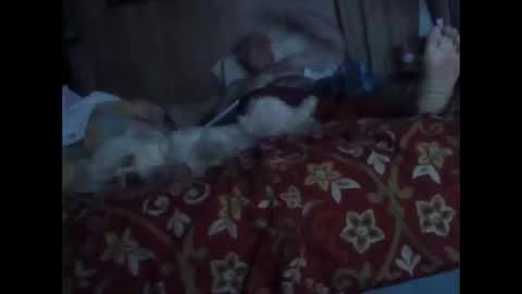 Snapshot of bigbenidick1 chatting on 10.20.25 BB online show from 10.20.25