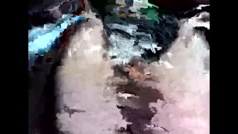 bigbird0100101 online show from 02.07.26