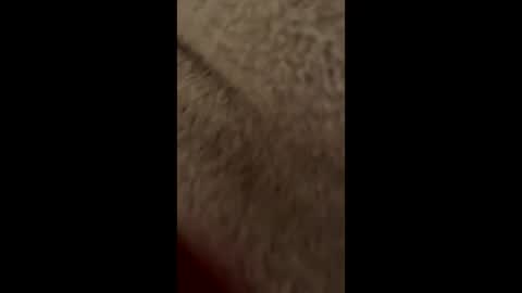 Snapshot of bigblackbu11 chatting on 01.10.25 Lolipopped online show from 01.10.25