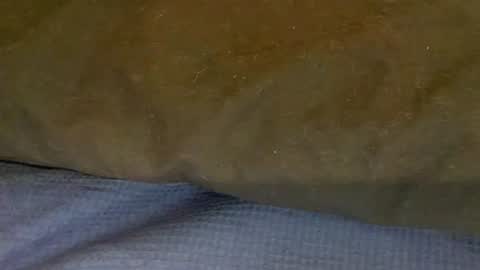 bigboii842 online show from 11.15.25