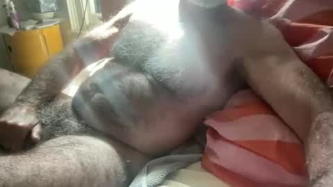 big bush online show from 03.30.26