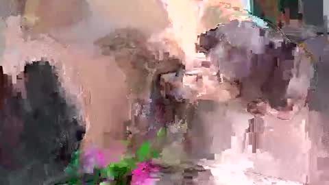 Artura online show from 12.18.24