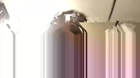 Snapshot of bigdaddy1988_ chatting on 11.03.25 Big Daddy 1988 S online show from 11.03.25