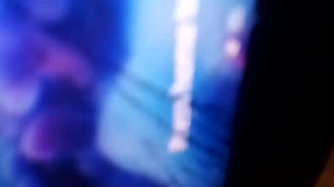 Rooster P online show from 12.04.24