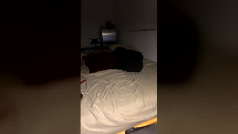 bigdickpapishampoo online show from 12.19.25