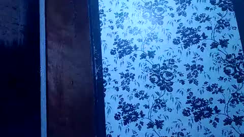 Snapshot of bigdog9thick chatting on 01.27.25 bigdog9thick online show from 01.27.25