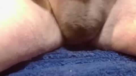 Snapshot of bigdoglog chatting on 02.10.25 BigDog online show from 02.10.25