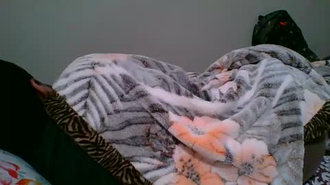 bighandsomesatisfy online show from 01.06.25