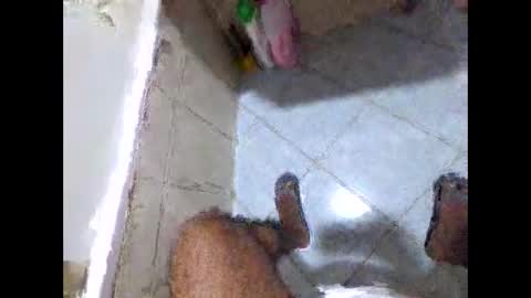 bighdasehzada online show from 04.19.26