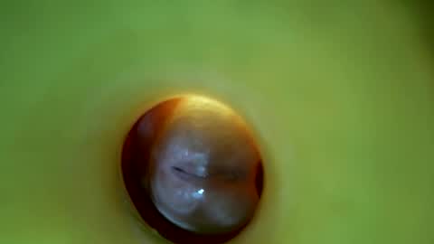 bigmoneycorey online show from 03.16.26