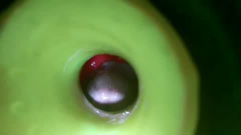 bigmoneycorey online show from 04.01.26