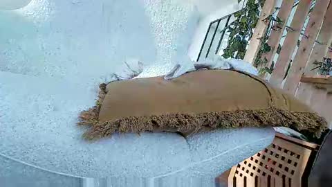 bigo290 online show from 10.05.25