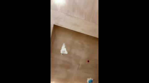 Snapshot of bigpoppa69999 chatting on 01.16.25 bigpoppa69999 online show from 01.16.25