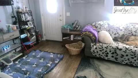 Snapshot of bigskittles4you chatting on 02.24.26 Skittles online show from 02.24.26