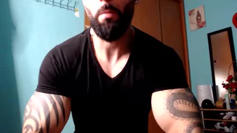 BigStallion online show from 12.08.24