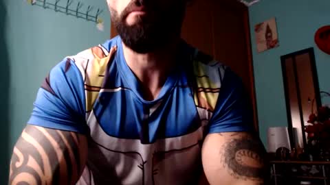 BigStallion online show from 02.15.25