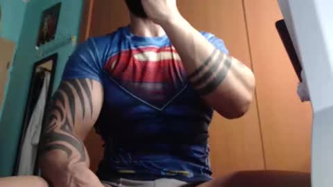 BigStallion online show from 11.02.25