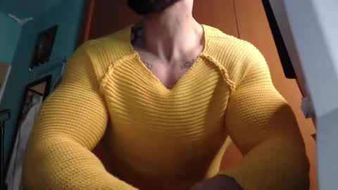 BigStallion online show from 03.05.26