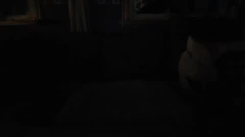 Snapshot of bigswe1 chatting on 01.27.25 bigswe1 online show from 01.27.25