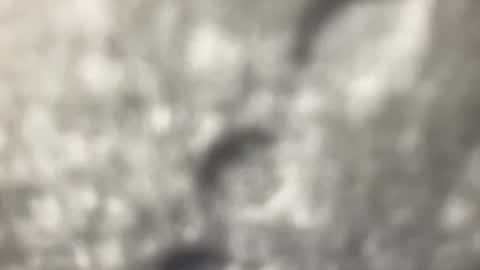 Snapshot of biguywithtoys chatting on 12.22.24 biguywithtoys online show from 12.22.24