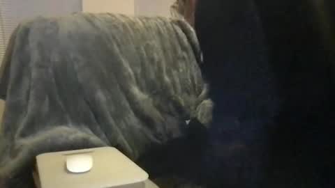 Snapshot of bigwhitedickdaddy69 chatting on 02.16.26 Bigwhitedickdaddy and BabyCakes online show from 02.16.26