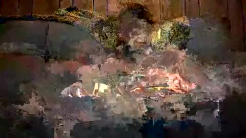 Snapshot of bigwytecock1979 chatting on 12.11.24 bigwytecock1979 online show from 12.11.24