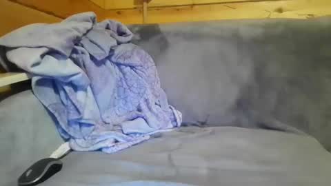 bik40 online show from 12.27.24