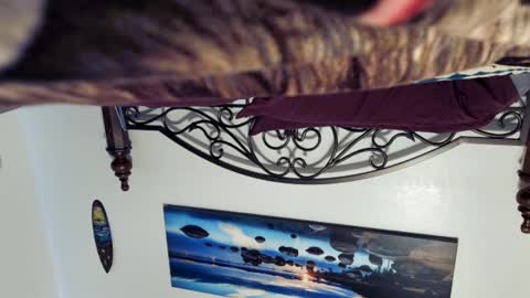 Snapshot of billy1850 chatting on 03.02.25 Starlyte online show from 03.02.25