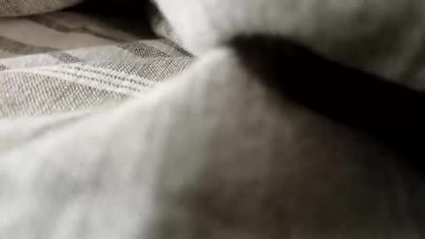 Snapshot of billy7801801010 chatting on 02.20.26 billy7801801010 online show from 02.20.26