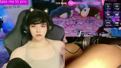 BimboCat online show from 02.03.26