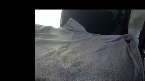 Snapshot of bislider chatting on 11.12.25 bislider online show from 11.12.25