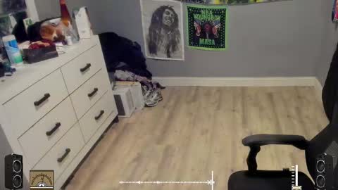 Snapshot of blaccanalmatters chatting on 10.17.25 Plant Base Streamers From Pennsylvania online show from 10.17.25