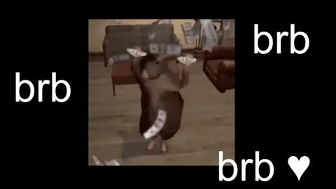  Black Kittie    Wednesday - 1300 - 1900 GMT help me get 100 thumbs up online show from 10.26.25