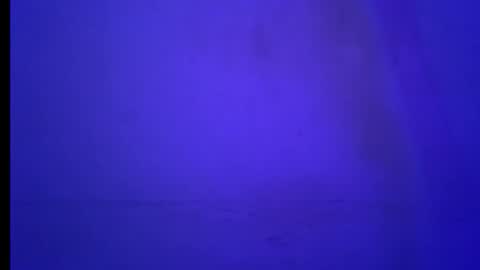 BLACK online show from 01.19.26