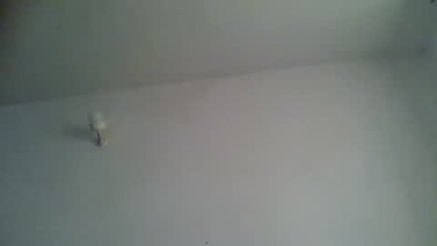 black african online show from 11.15.25