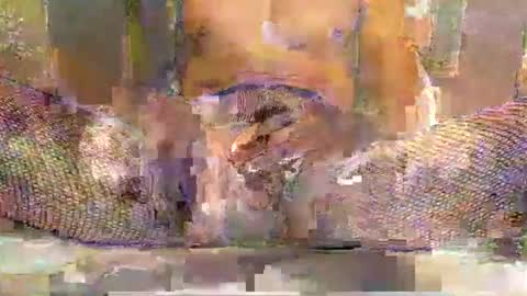 Snapshot of blackbigdickfr chatting on 12.20.25 blackbigdickfr online show from 12.20.25