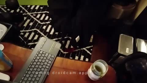 Blackjag00 online show from 02.13.25