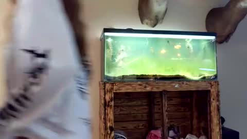 blasianangel444 online show from 04.17.26