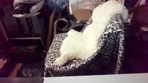 blindsurfer780299 online show from 03.15.26