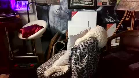 blindsurfer780299 online show from 03.30.26