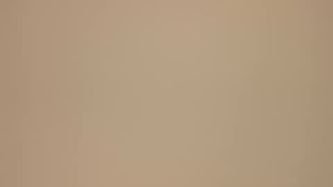 Blondie gin online show from 02.21.25