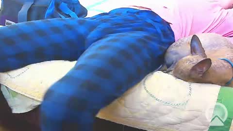 Snapshot of blondieblu89 chatting on 02.13.25 First Time College Boy online show from 02.13.25